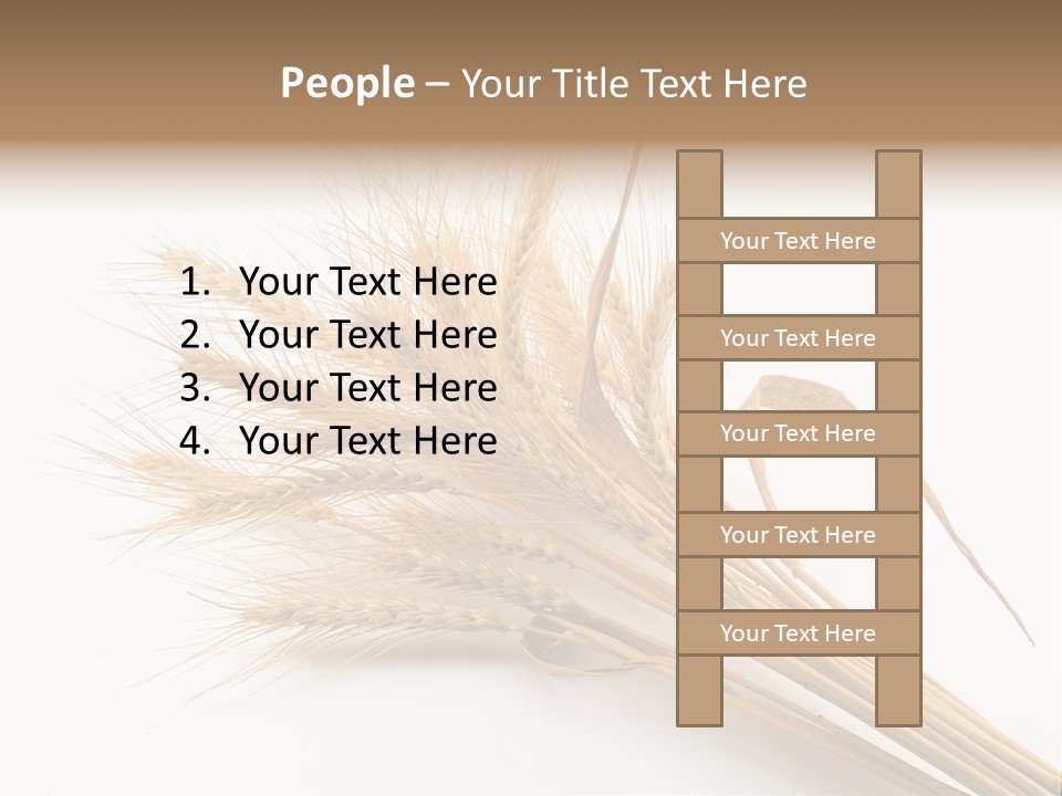 Bundle Of Wheat Isolated On White PowerPoint Template