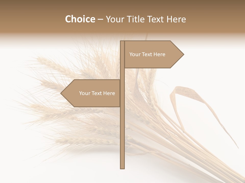 Bundle Of Wheat Isolated On White PowerPoint Template