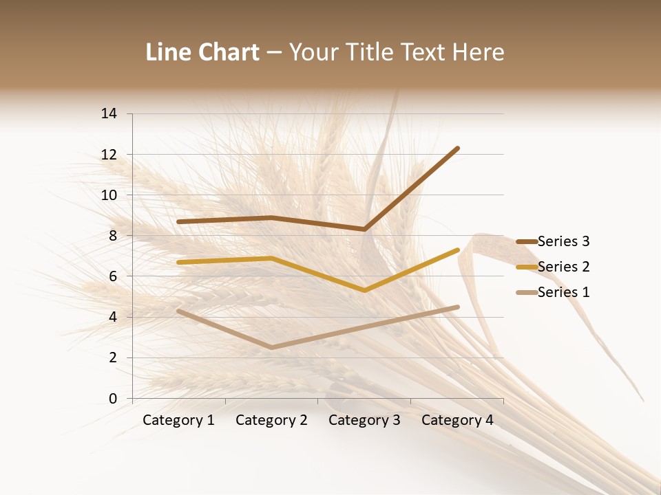 Bundle Of Wheat Isolated On White PowerPoint Template