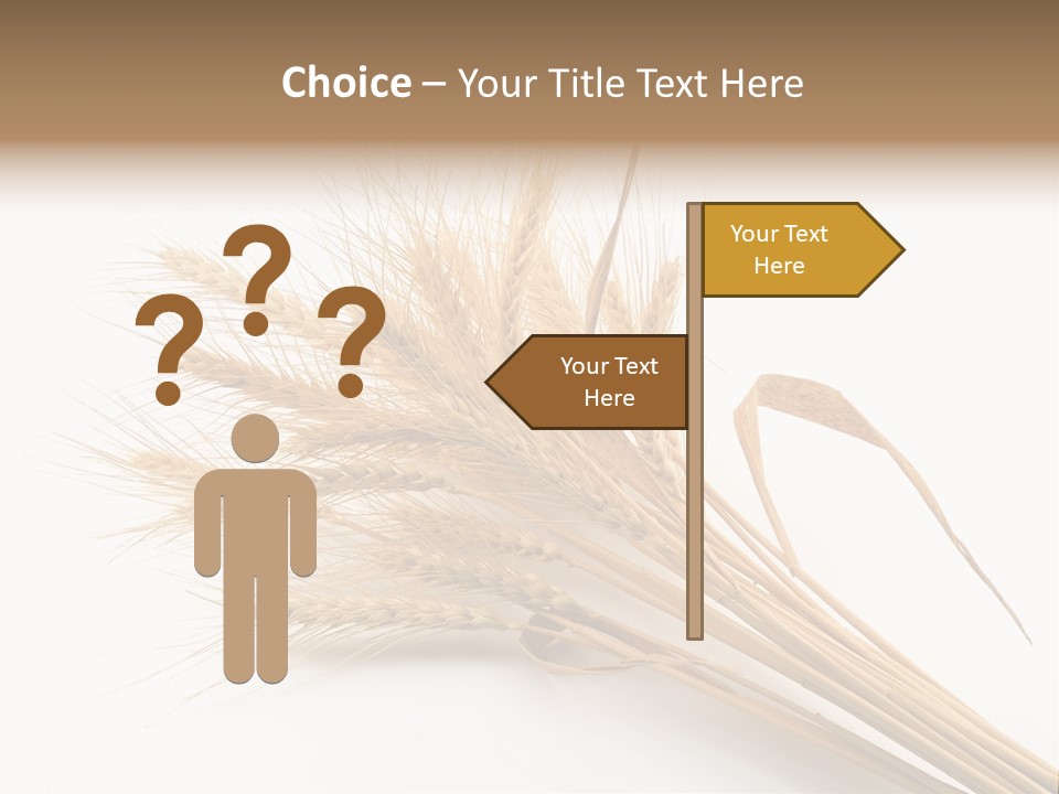 Bundle Of Wheat Isolated On White PowerPoint Template