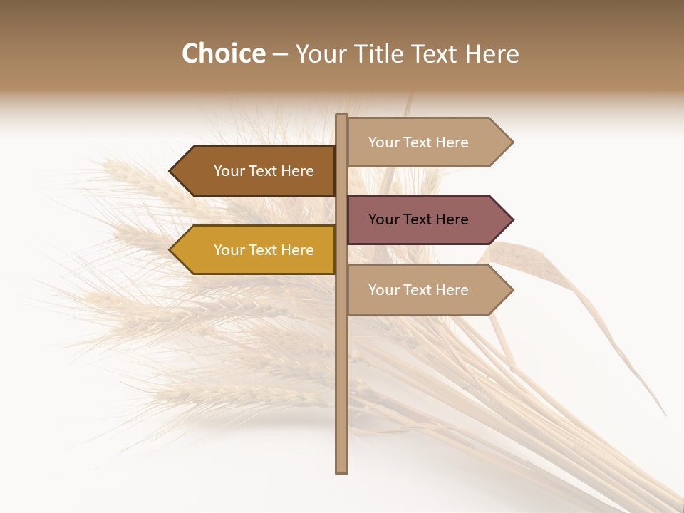 Bundle Of Wheat Isolated On White PowerPoint Template