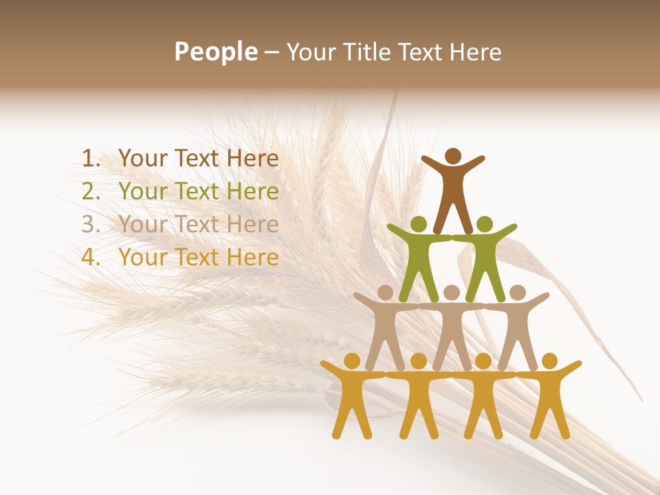 Bundle Of Wheat Isolated On White PowerPoint Template