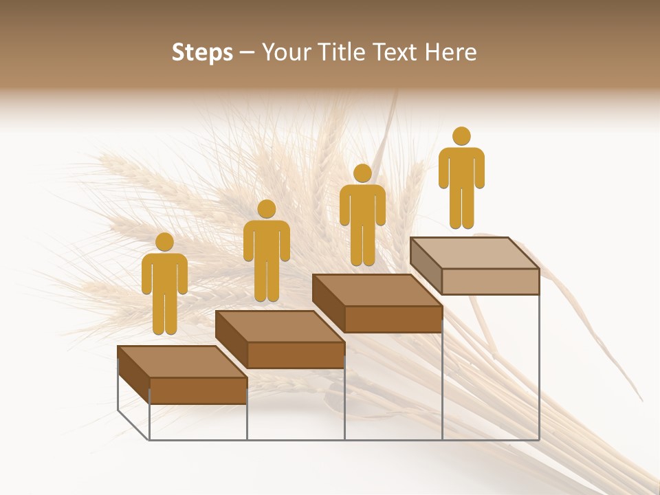 Bundle Of Wheat Isolated On White PowerPoint Template