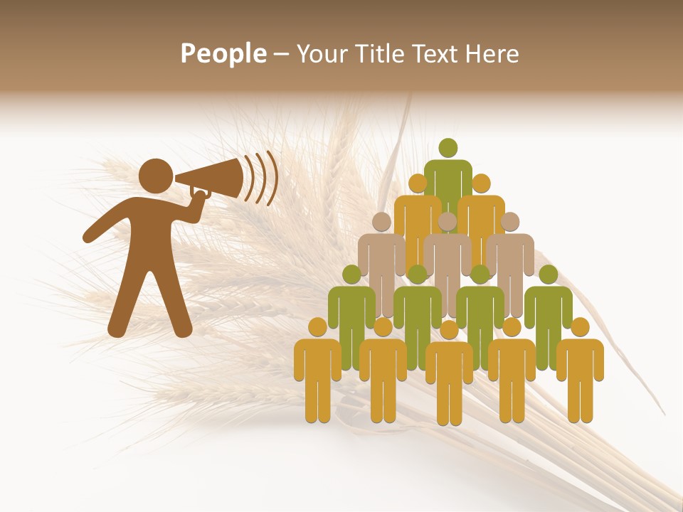 Bundle Of Wheat Isolated On White PowerPoint Template