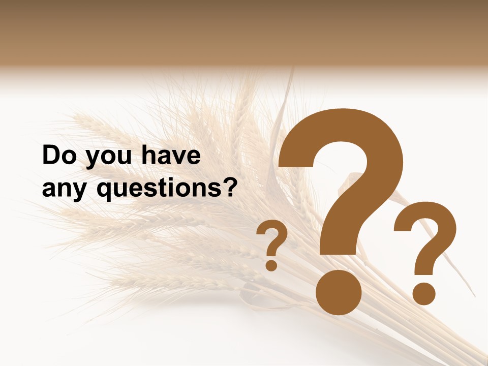 Bundle Of Wheat Isolated On White PowerPoint Template