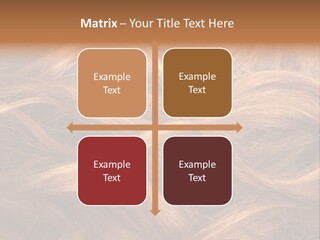 Blonde Hair Background Texture. PowerPoint Template