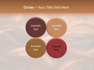 Blonde Hair Background Texture. PowerPoint Template