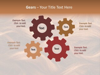 Blonde Hair Background Texture. PowerPoint Template
