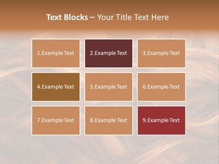 Blonde Hair Background Texture. PowerPoint Template