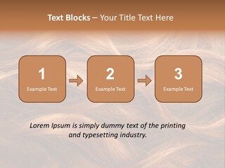 Blonde Hair Background Texture. PowerPoint Template