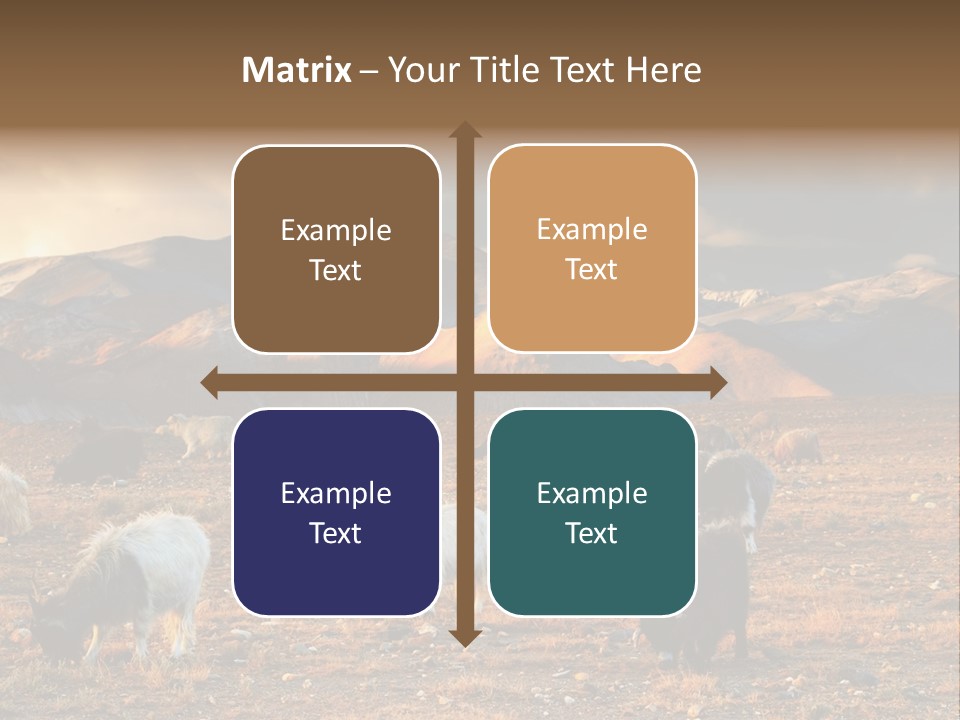 Tibetan Landscape With Grazing Sheep And Goats PowerPoint Template