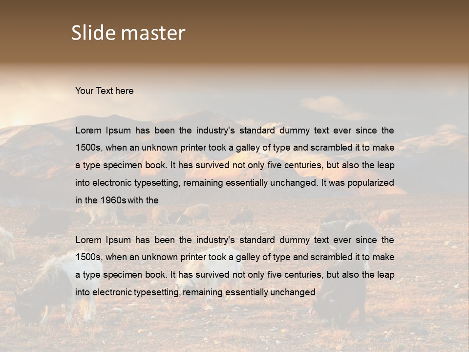 Tibetan Landscape With Grazing Sheep And Goats PowerPoint Template