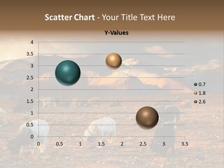 Tibetan Landscape With Grazing Sheep And Goats PowerPoint Template
