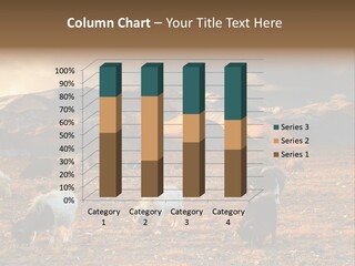 Tibetan Landscape With Grazing Sheep And Goats PowerPoint Template