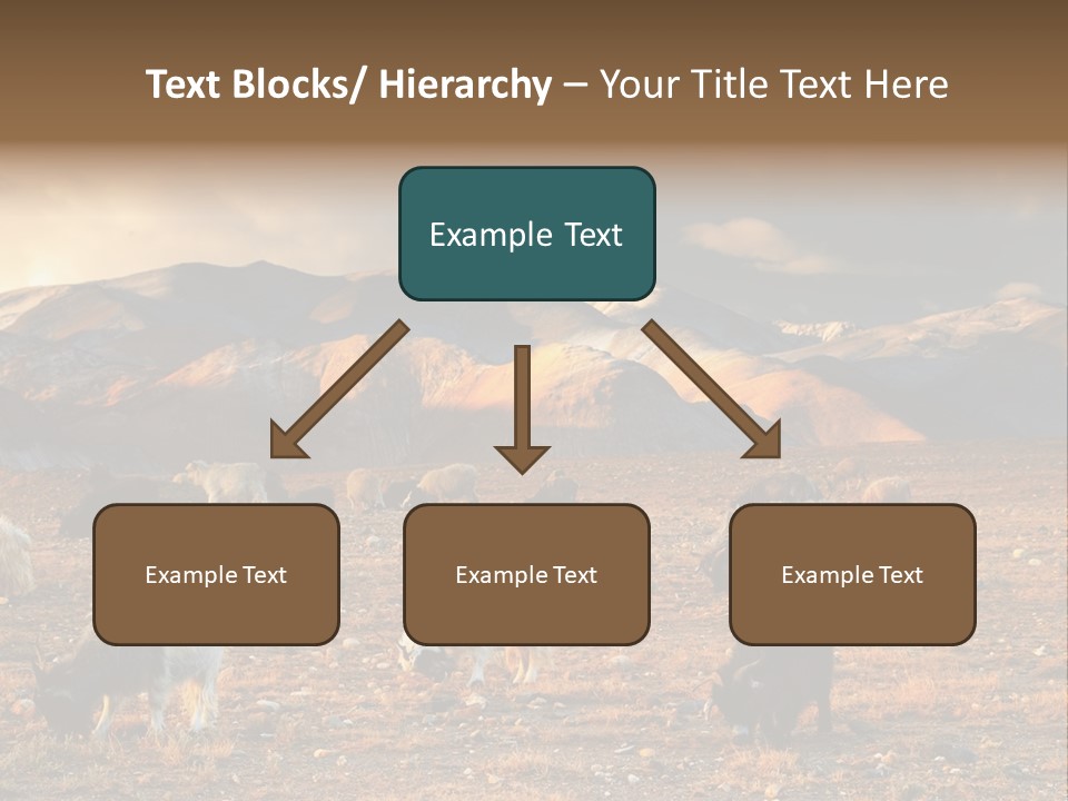 Tibetan Landscape With Grazing Sheep And Goats PowerPoint Template