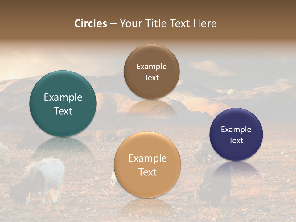 Tibetan Landscape With Grazing Sheep And Goats PowerPoint Template