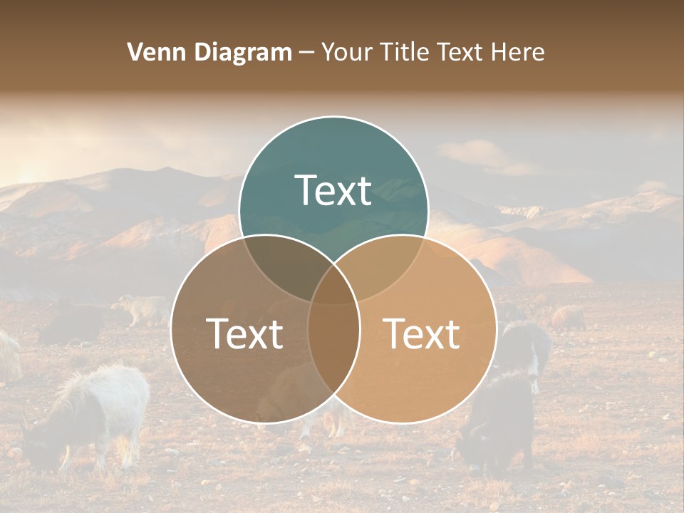 Tibetan Landscape With Grazing Sheep And Goats PowerPoint Template