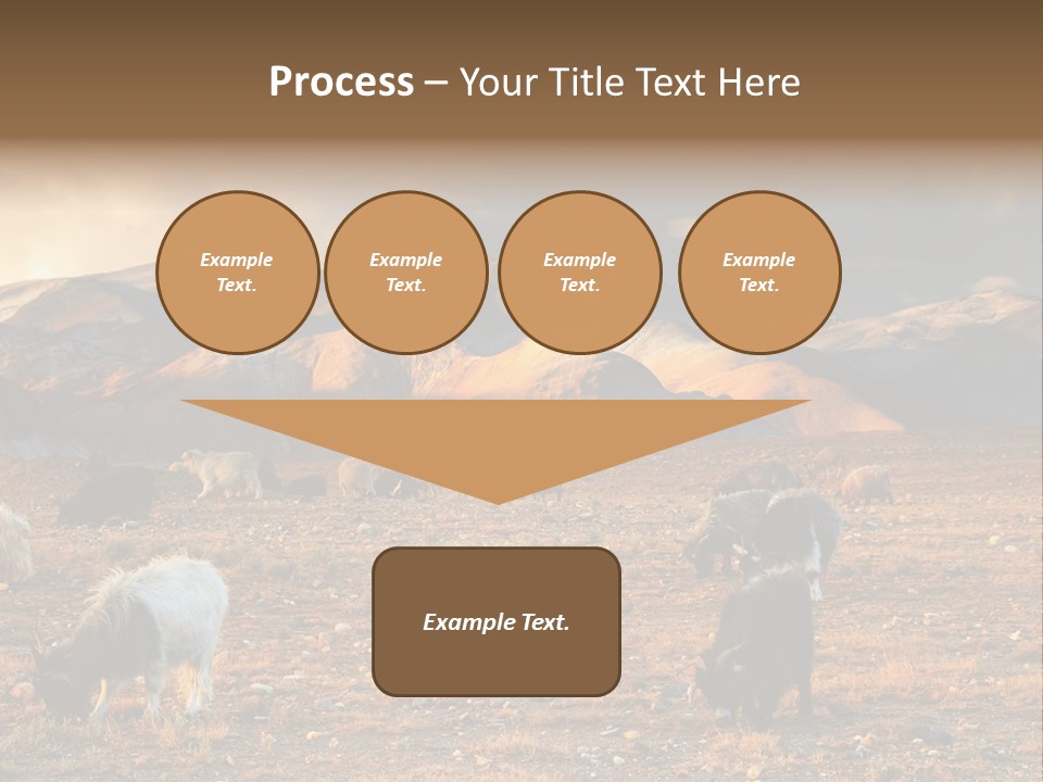 Tibetan Landscape With Grazing Sheep And Goats PowerPoint Template