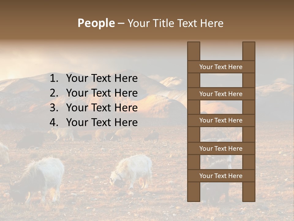 Tibetan Landscape With Grazing Sheep And Goats PowerPoint Template
