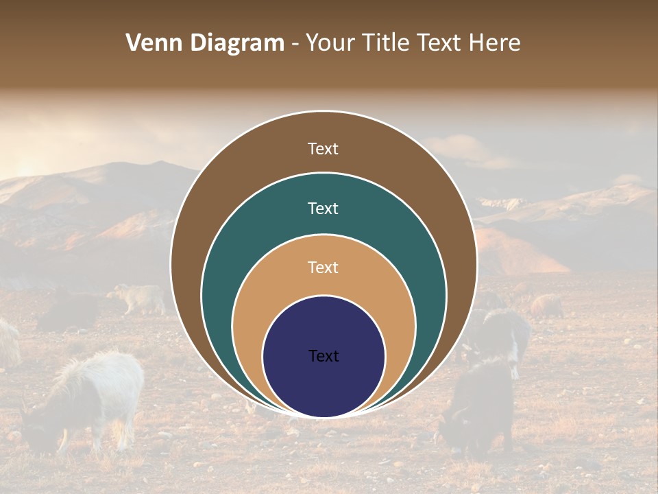 Tibetan Landscape With Grazing Sheep And Goats PowerPoint Template