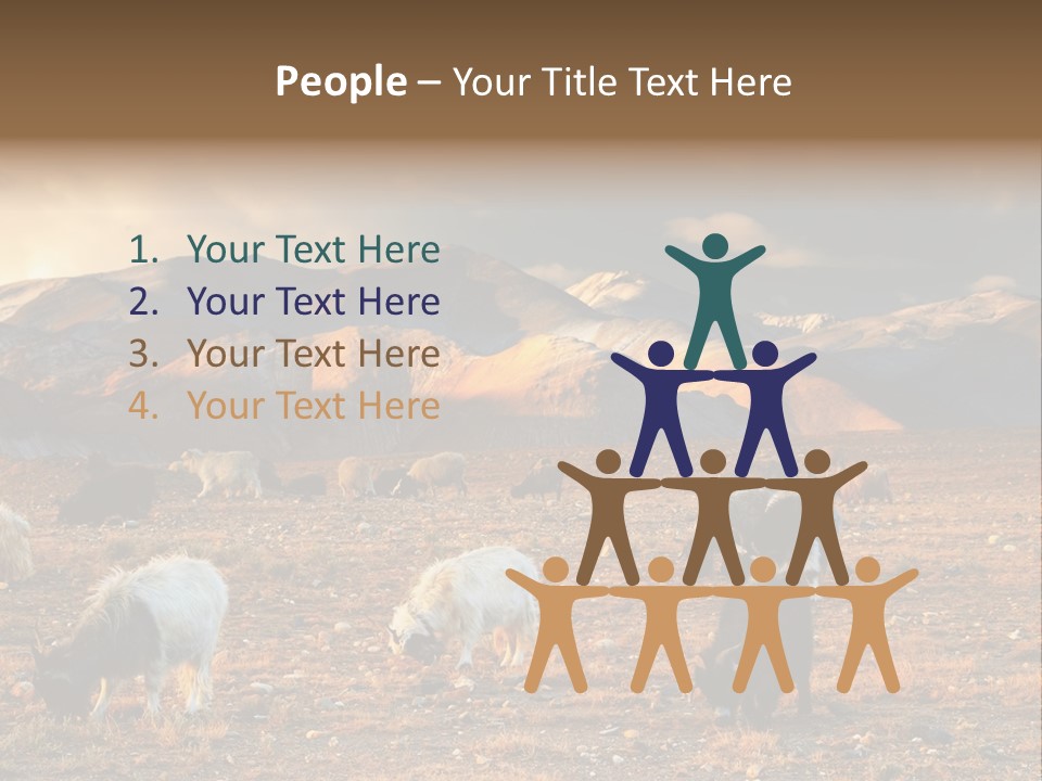 Tibetan Landscape With Grazing Sheep And Goats PowerPoint Template