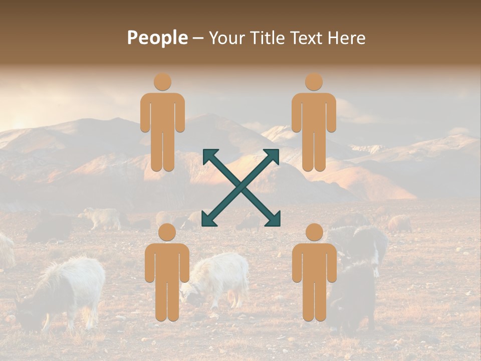 Tibetan Landscape With Grazing Sheep And Goats PowerPoint Template
