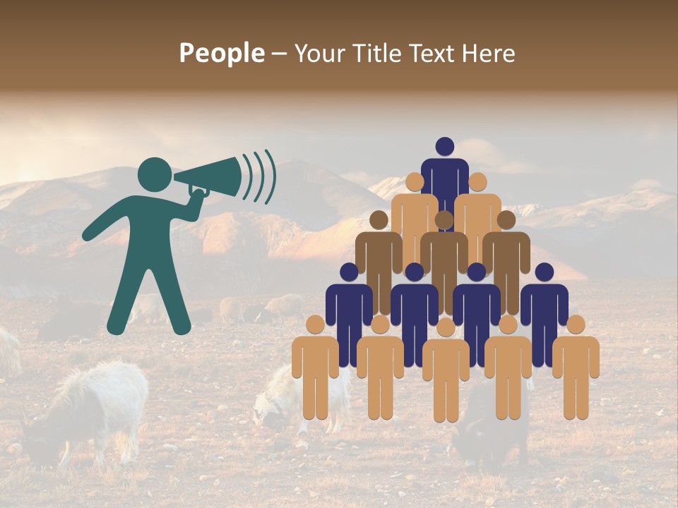 Tibetan Landscape With Grazing Sheep And Goats PowerPoint Template