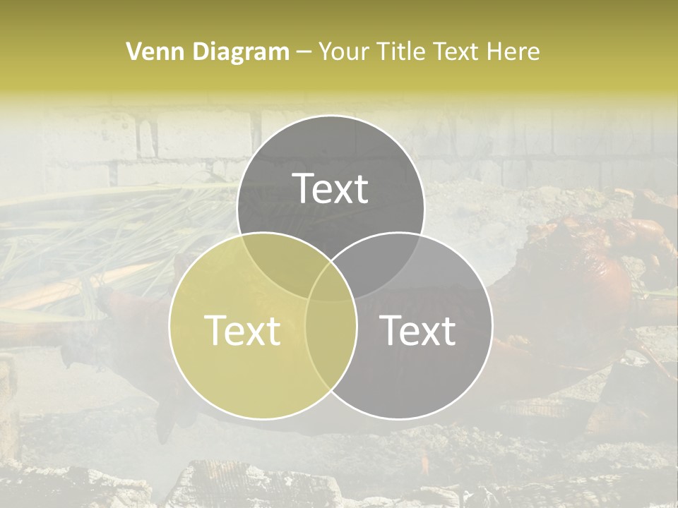 Philippine Roast Pig, A Favorite In The Country PowerPoint Template