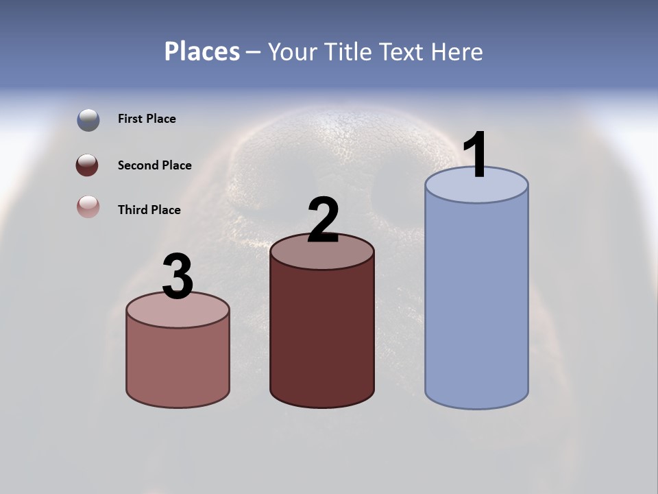 Zambezi Sunrise PowerPoint Template