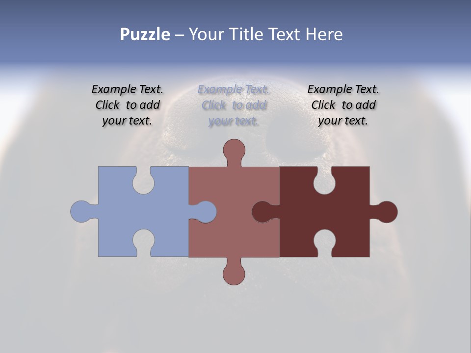 Zambezi Sunrise PowerPoint Template