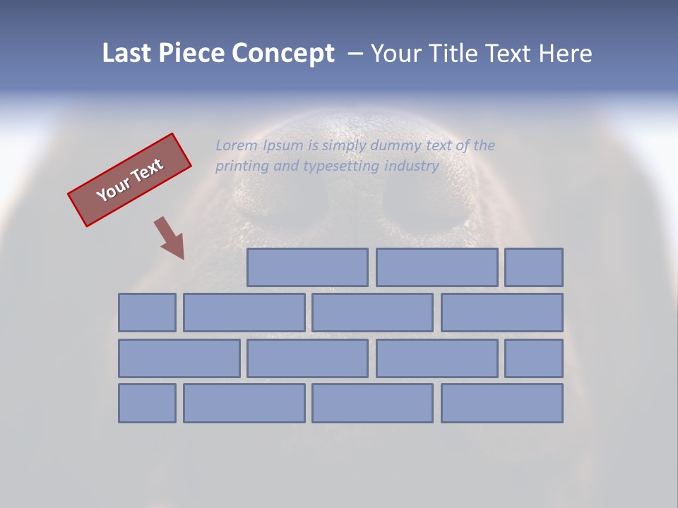 Zambezi Sunrise PowerPoint Template
