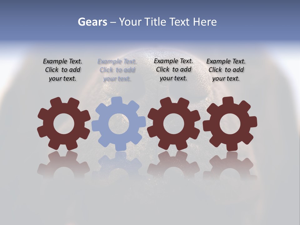 Zambezi Sunrise PowerPoint Template