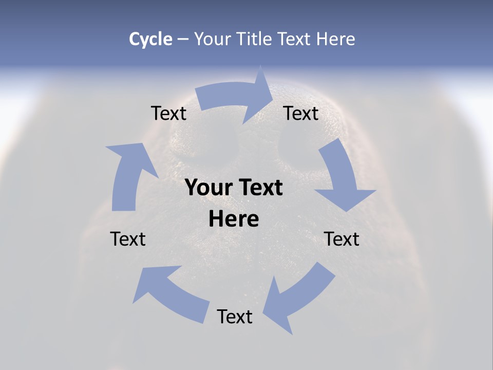Zambezi Sunrise PowerPoint Template