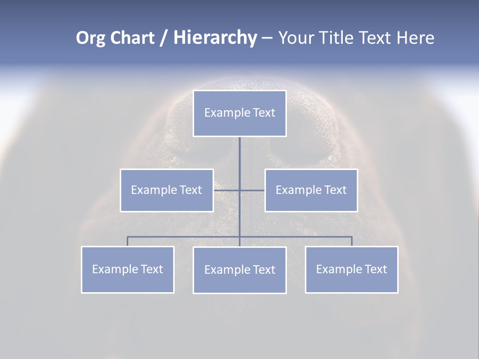 Zambezi Sunrise PowerPoint Template
