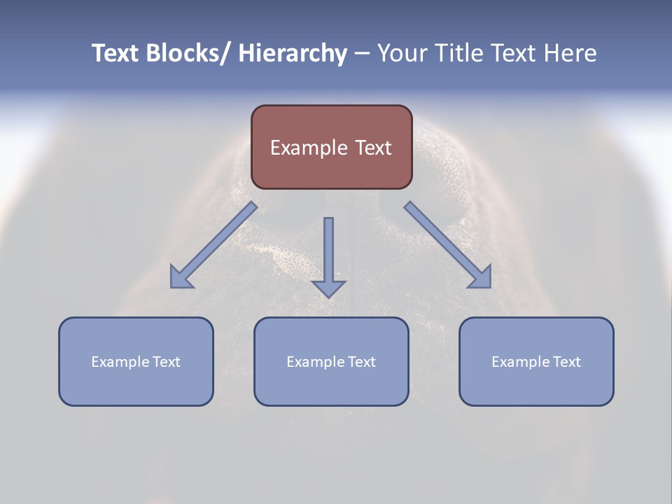 Zambezi Sunrise PowerPoint Template