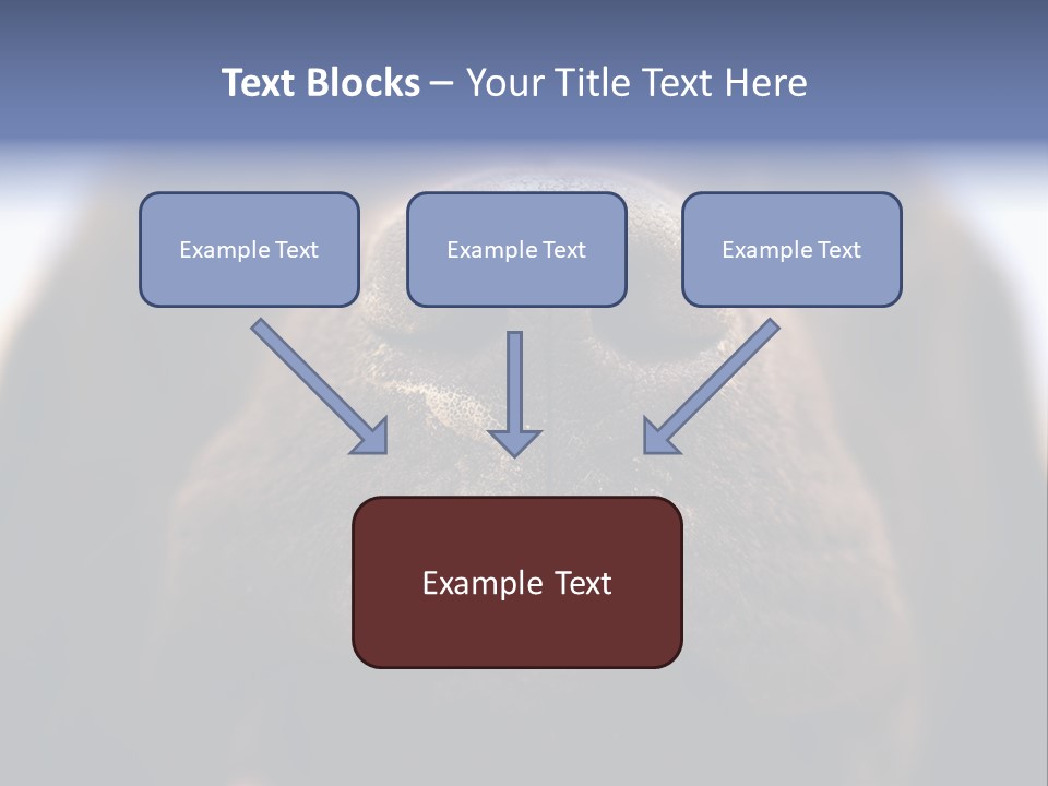 Zambezi Sunrise PowerPoint Template