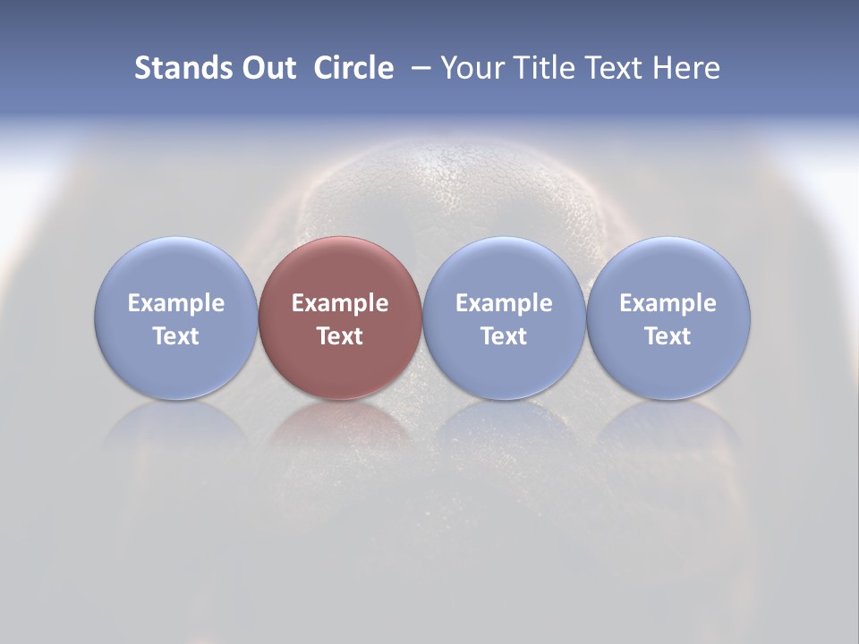 Zambezi Sunrise PowerPoint Template