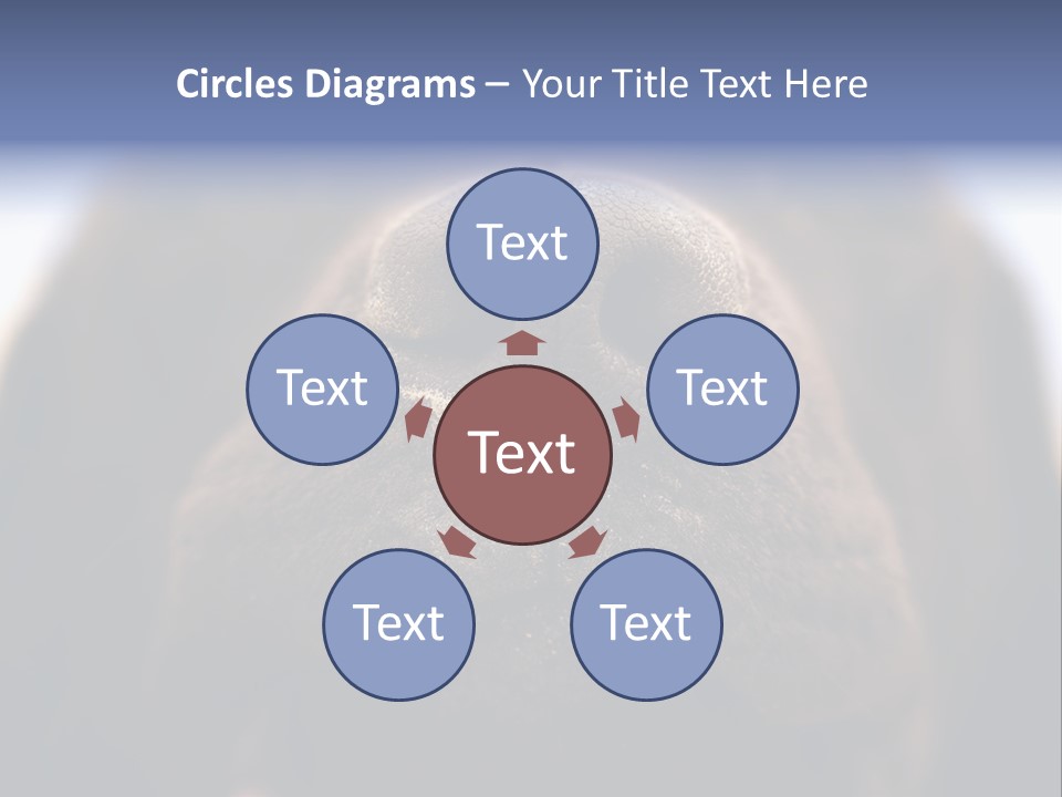 Zambezi Sunrise PowerPoint Template