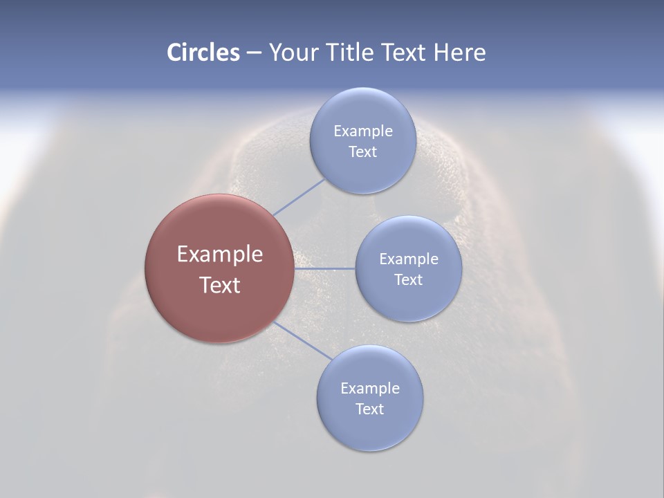 Zambezi Sunrise PowerPoint Template
