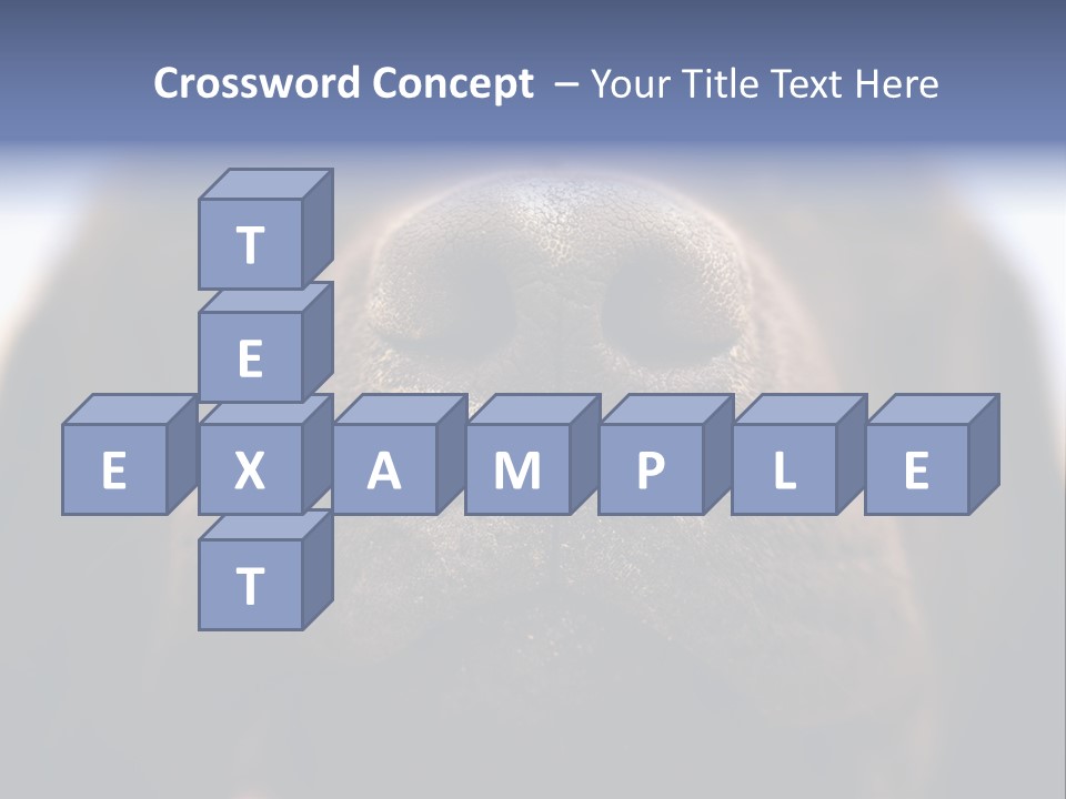 Zambezi Sunrise PowerPoint Template