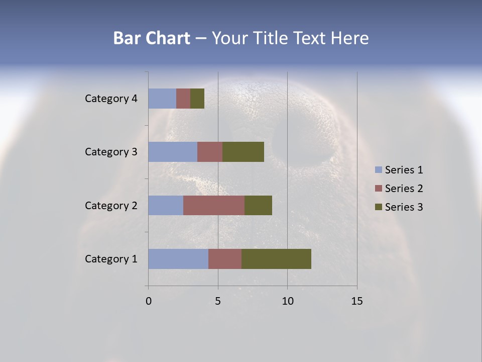 Zambezi Sunrise PowerPoint Template