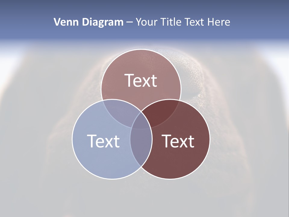 Zambezi Sunrise PowerPoint Template
