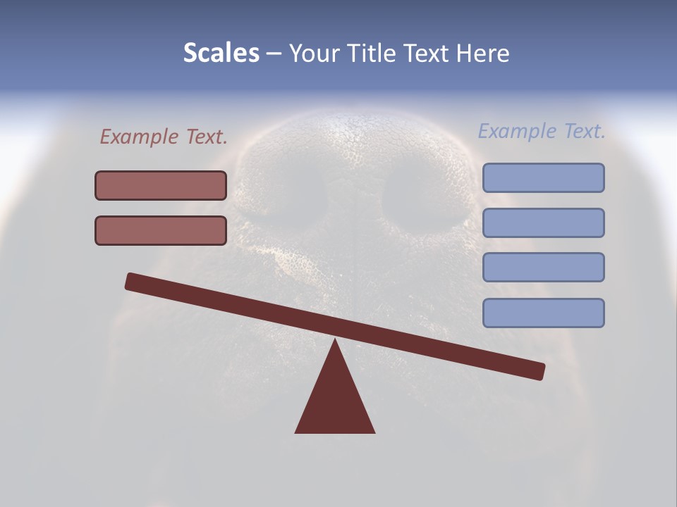 Zambezi Sunrise PowerPoint Template