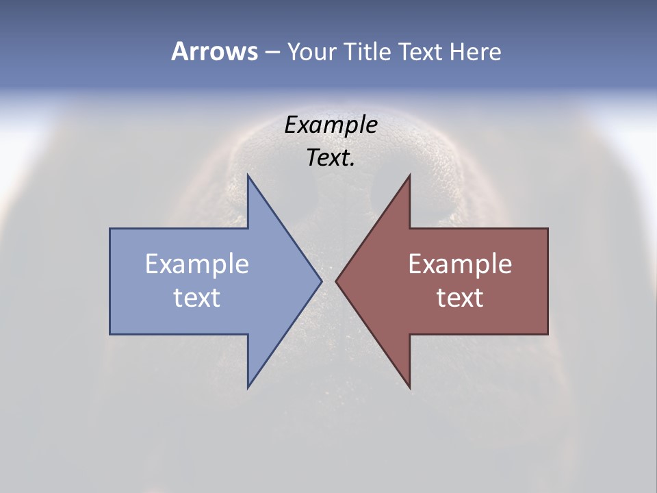 Zambezi Sunrise PowerPoint Template