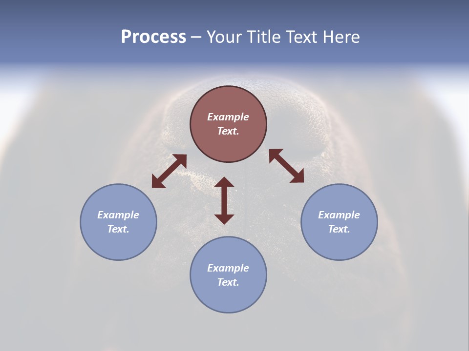 Zambezi Sunrise PowerPoint Template