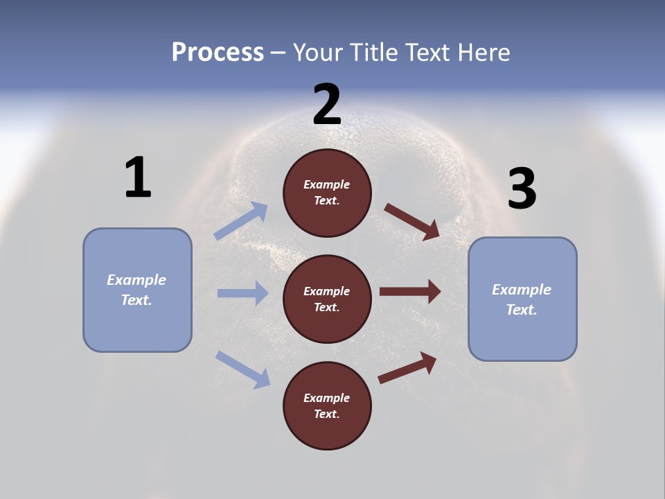 Zambezi Sunrise PowerPoint Template