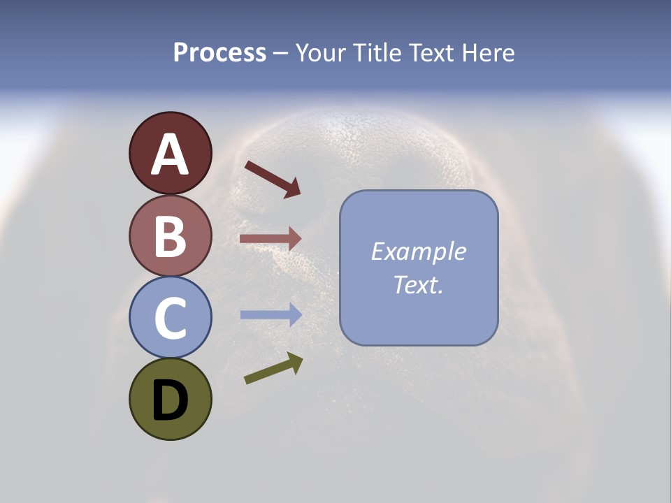 Zambezi Sunrise PowerPoint Template
