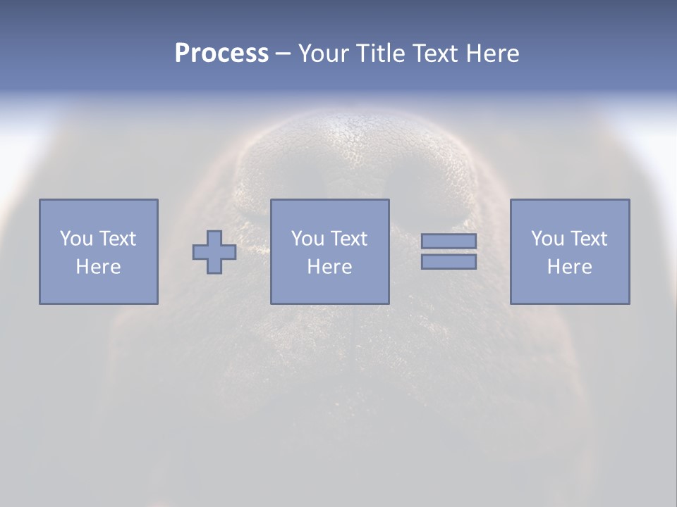 Zambezi Sunrise PowerPoint Template
