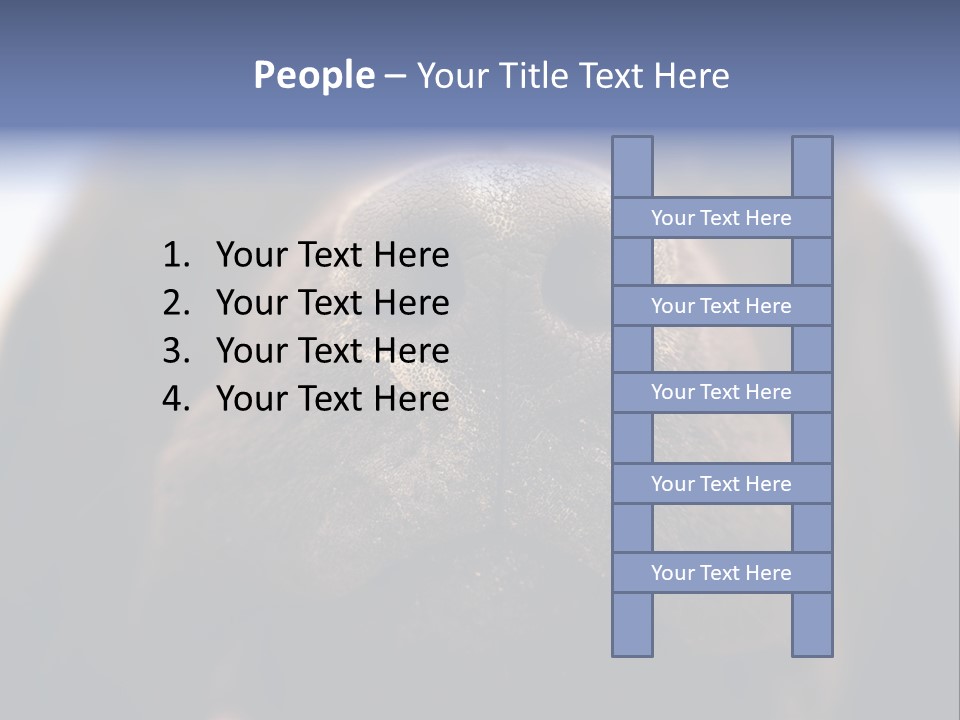 Zambezi Sunrise PowerPoint Template