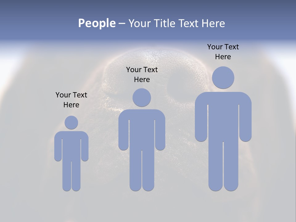 Zambezi Sunrise PowerPoint Template